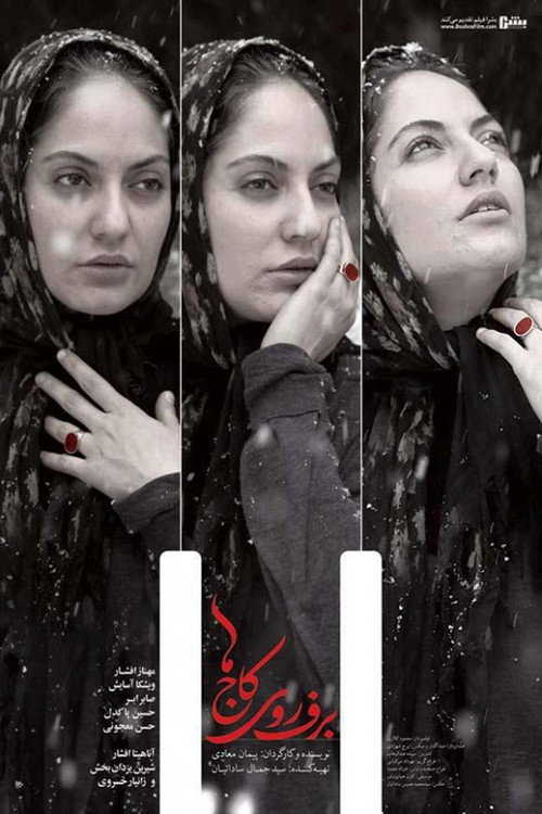 Movie poster for The Snow on the Pines (2013)