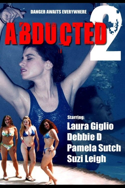 Movie poster for Abducted 2 (2003)