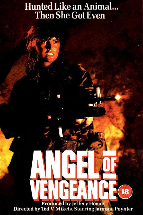 Movie poster for Angel of Vengeance (1987)