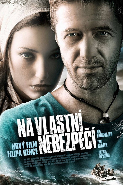 Movie poster for At Your Own Risk (2008)