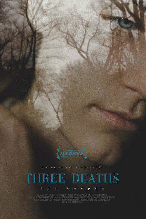 Movie poster for Three Deaths (2020)