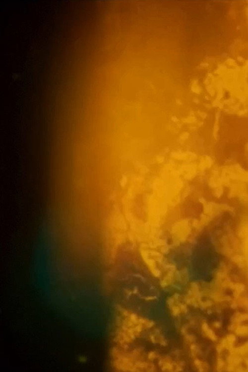 Movie poster for Particles (2020)