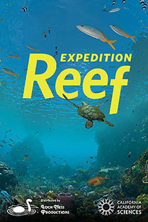 Movie poster for Expedition Reef (2019)