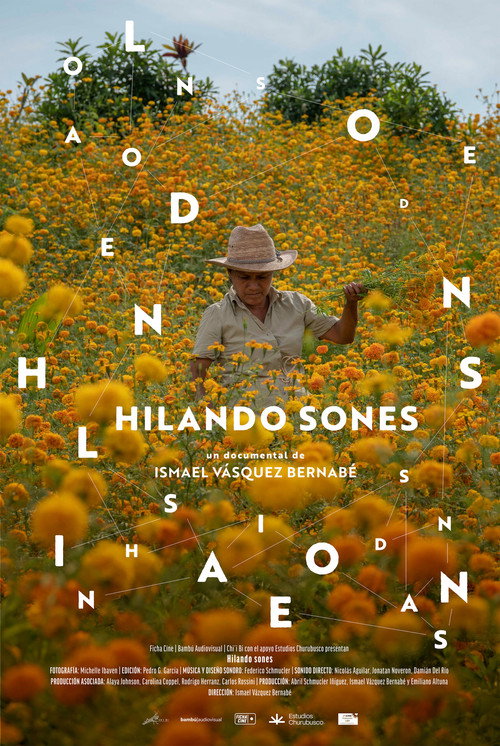 Movie poster for The Weavers' Songs (2021)