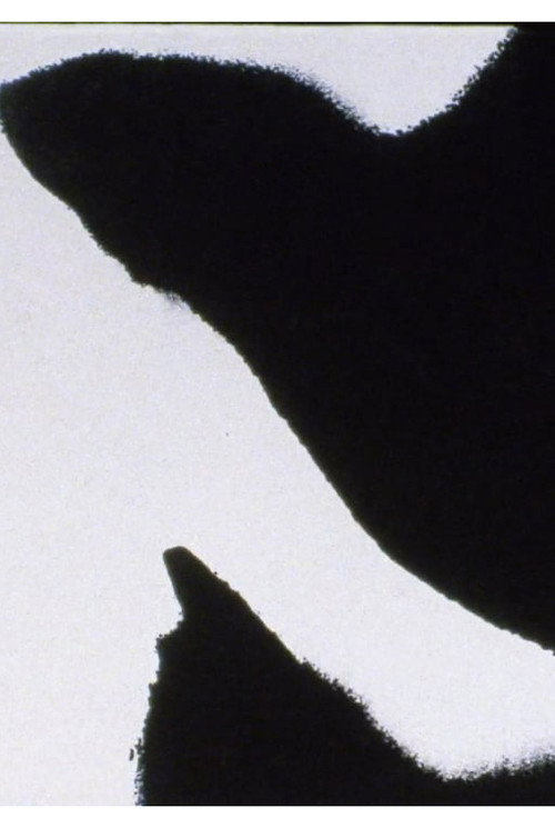 Movie poster for Errata (2005)