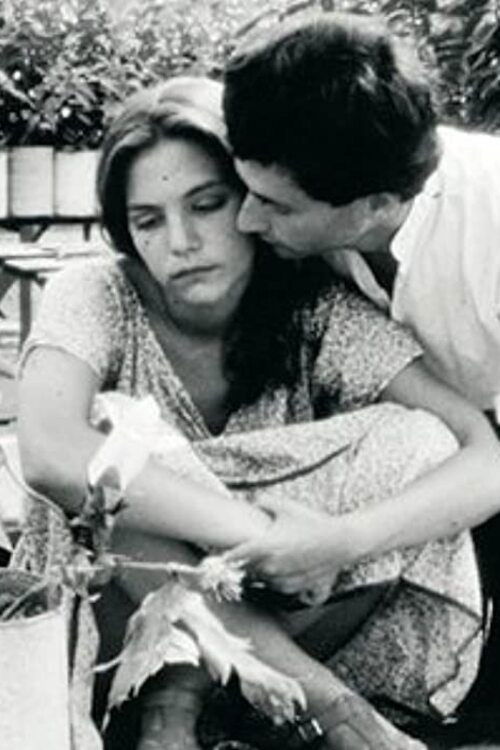 Fog Under the Sun poster