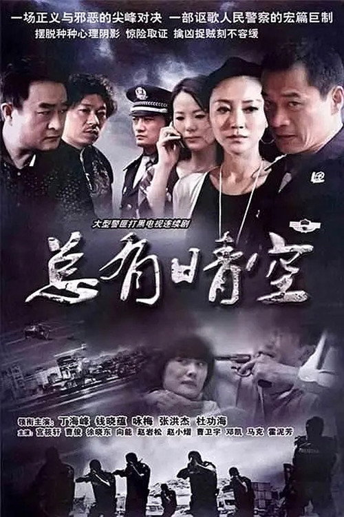 Series poster for 总有晴空 (2014)