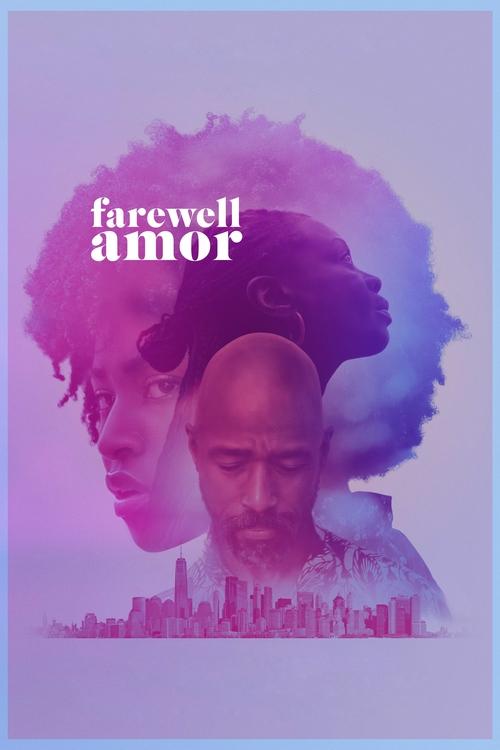 Movie poster for Farewell Amor (2020)