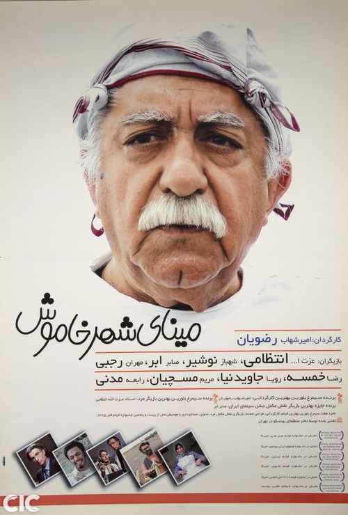 Movie poster for Colors of Memory (2008)