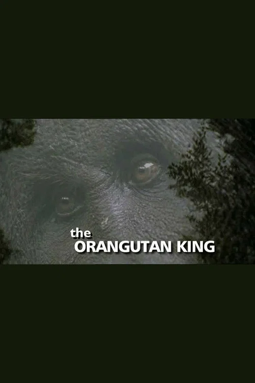 Movie poster for The Orangutan King (2005)