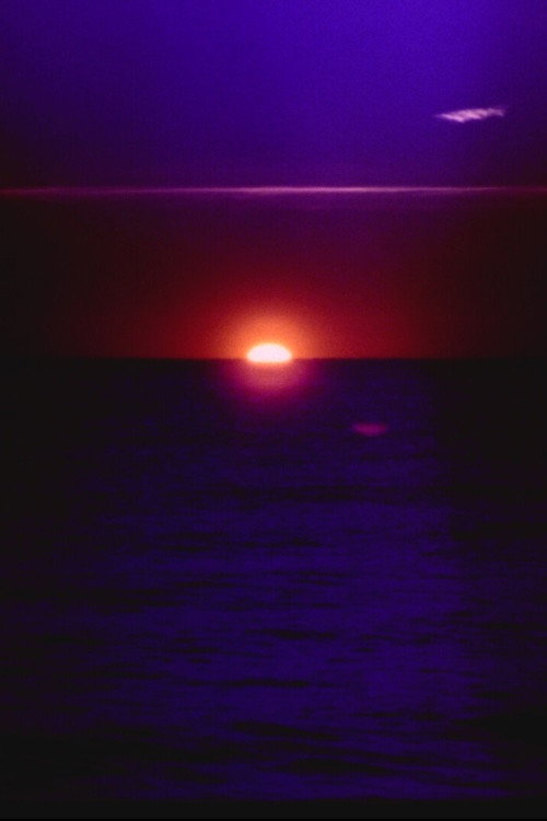 Movie poster for solar wave (2026)
