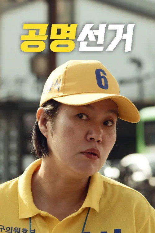 Movie poster for Fair Election (2019)