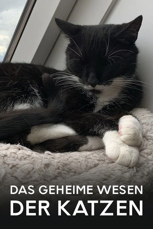 Movie poster for Das geheime Wesen der Katzen (2021)
