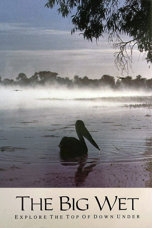 Movie poster for The Big Wet (1993)