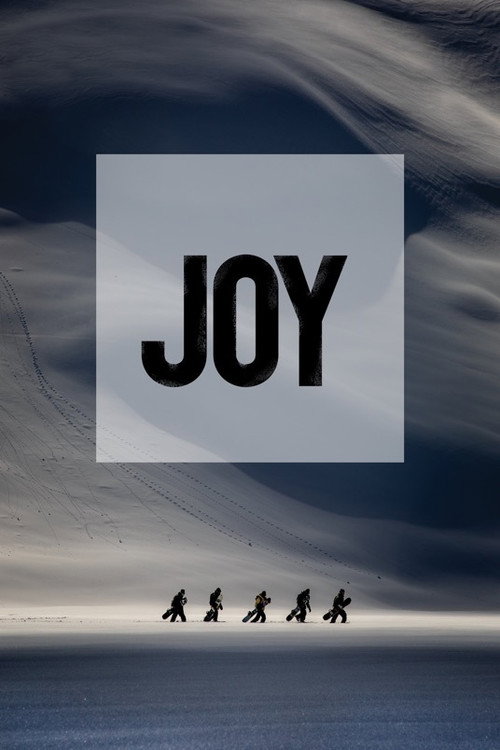 Movie poster for Joy (2019)
