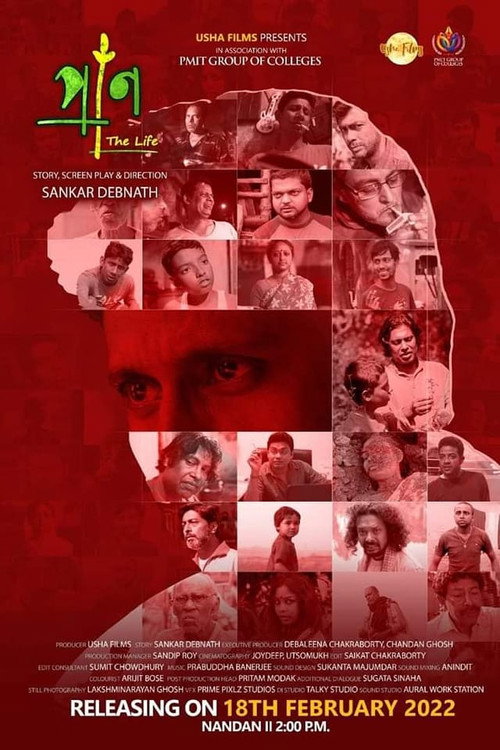Movie poster for The Life (2022)
