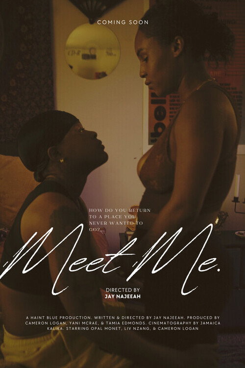 Movie poster for Meet Me. (2025)