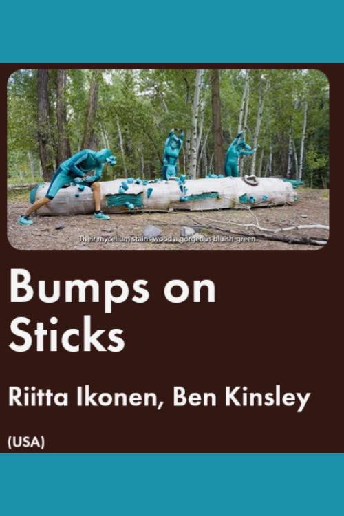 Movie poster for Bumps on Sticks (2025)