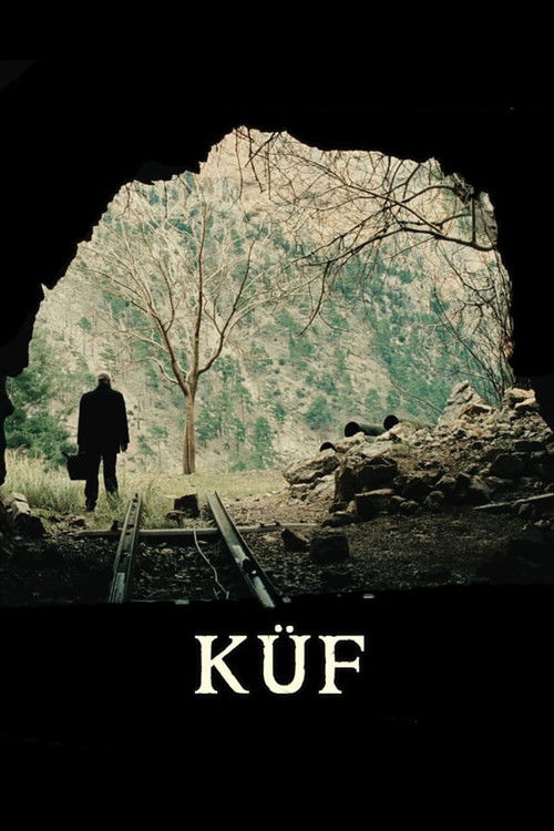 Movie poster for Mold (2013)