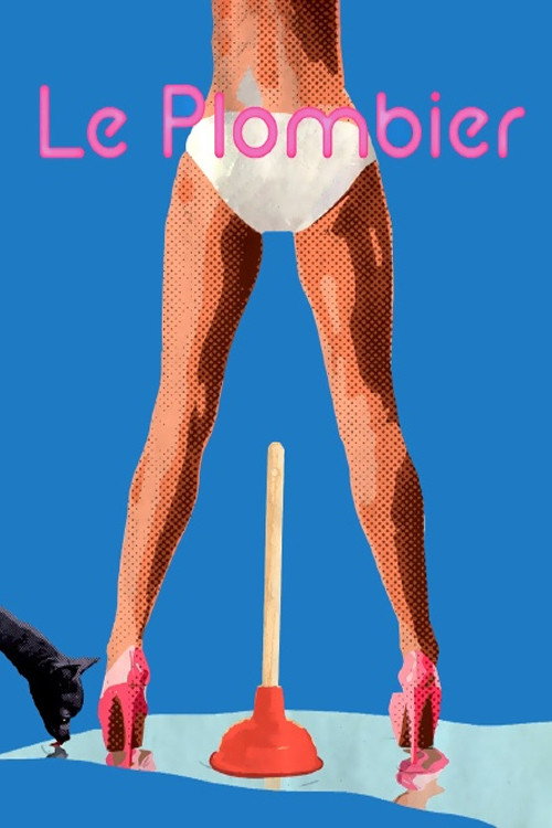 Movie poster for The Plumber (2016)
