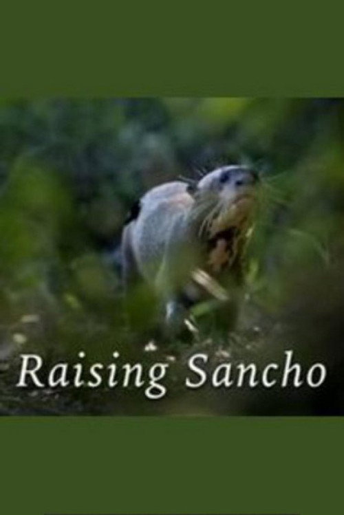 Movie poster for Raising Sancho (2008)