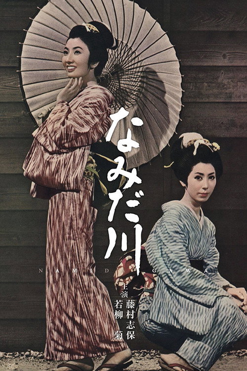 Movie poster for The Homely Sister (1967)