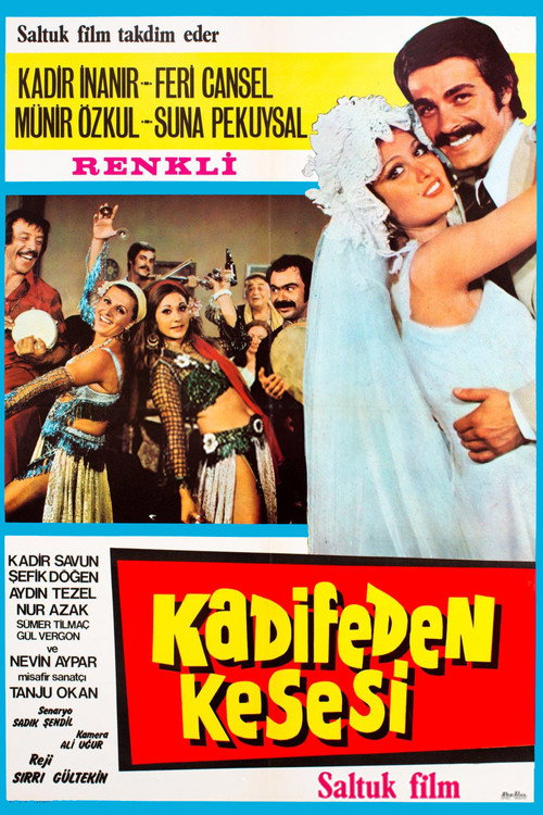 Movie poster for Kadifeden Kesesi (1973)