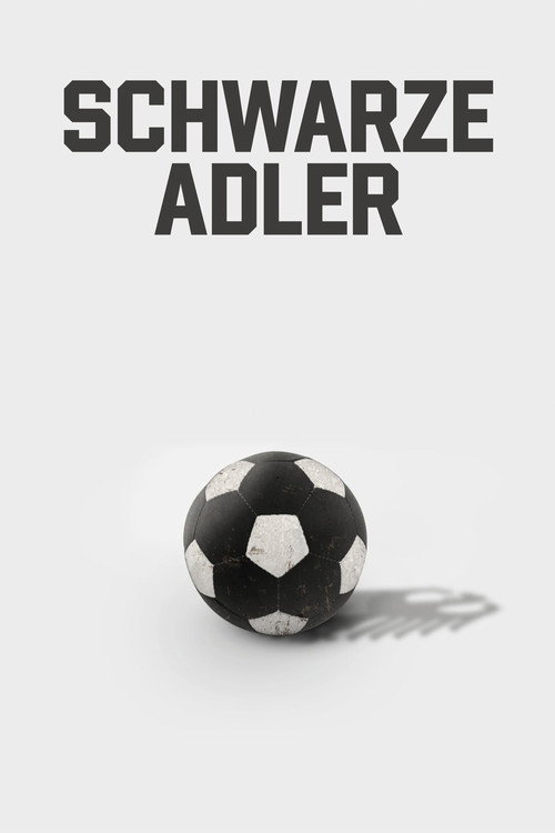 Movie poster for Black Eagles (2021)