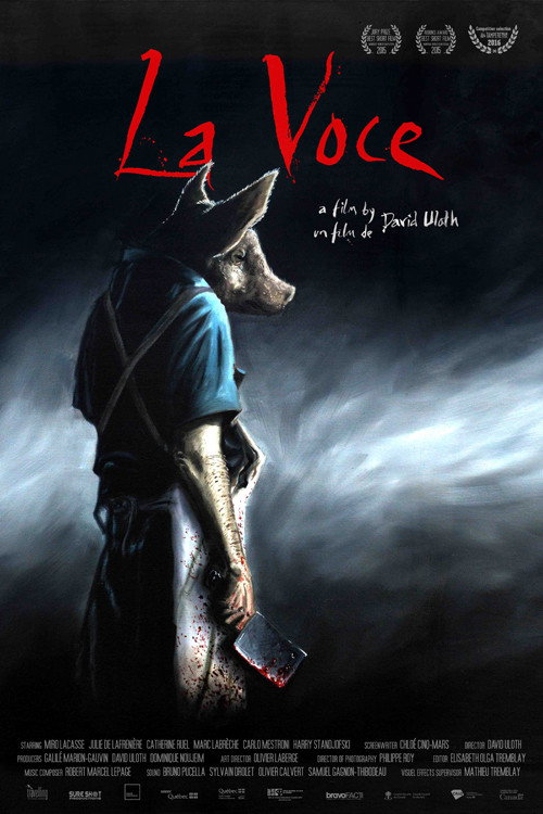 Movie poster for The Voice (2015)