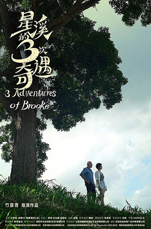 Movie poster for Three Adventures of Brooke (2019)