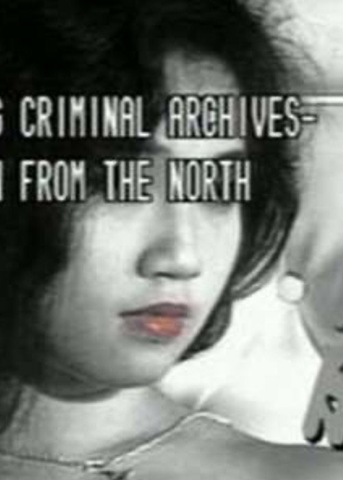 Movie poster for 香港奇案北地胭脂 (1991)