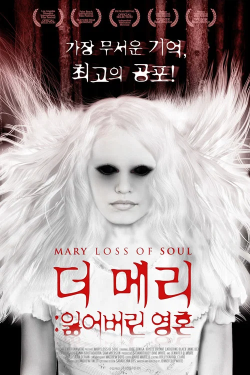 Movie poster for Mary Loss of Soul (2015)