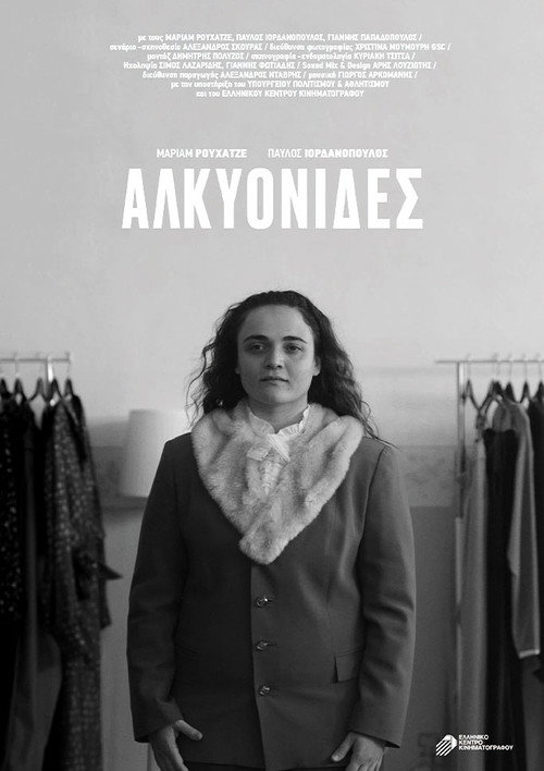 Movie poster for Halcyon Days (2024)