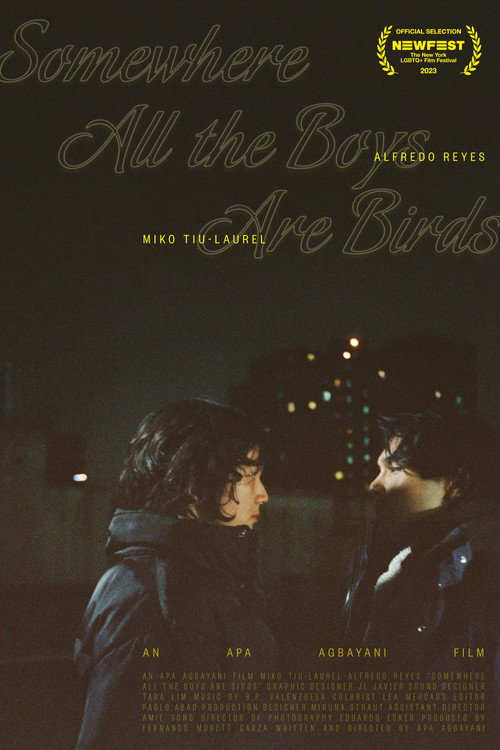 Movie poster for Somewhere all the boys are birds (2023)