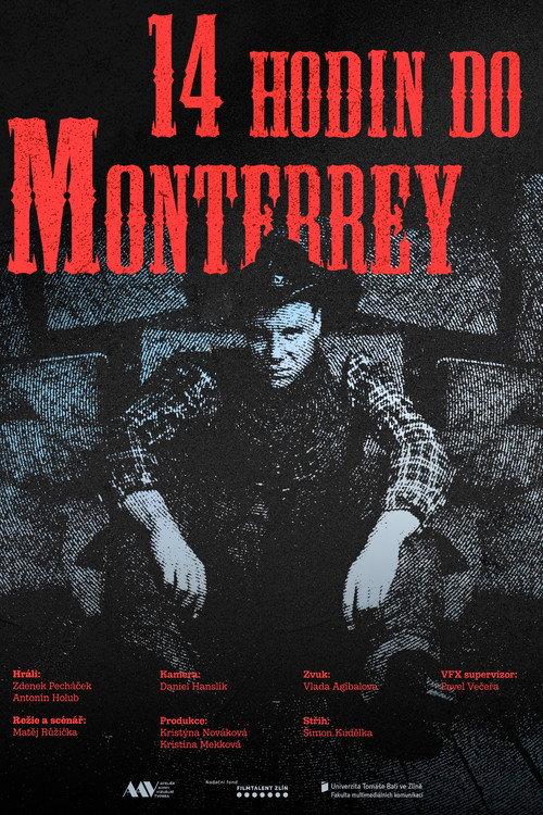 Movie poster for 14 hodin do Monterrey (2025)