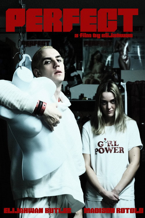 Movie poster for Perfect (2021)