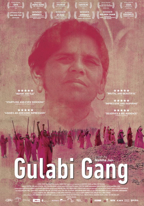 Movie poster for Gulabi Gang (2012)