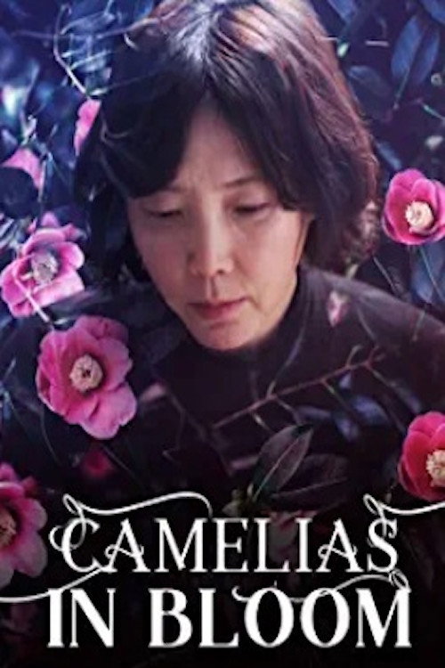 Movie poster for Camellias in Bloom (2017)