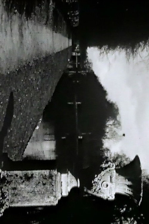 Movie poster for Ancientry (1969)