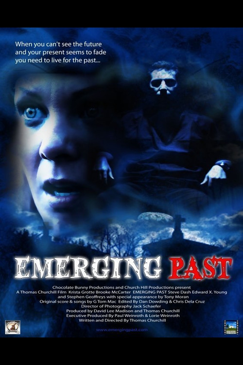 Movie poster for Emerging Past (2011)