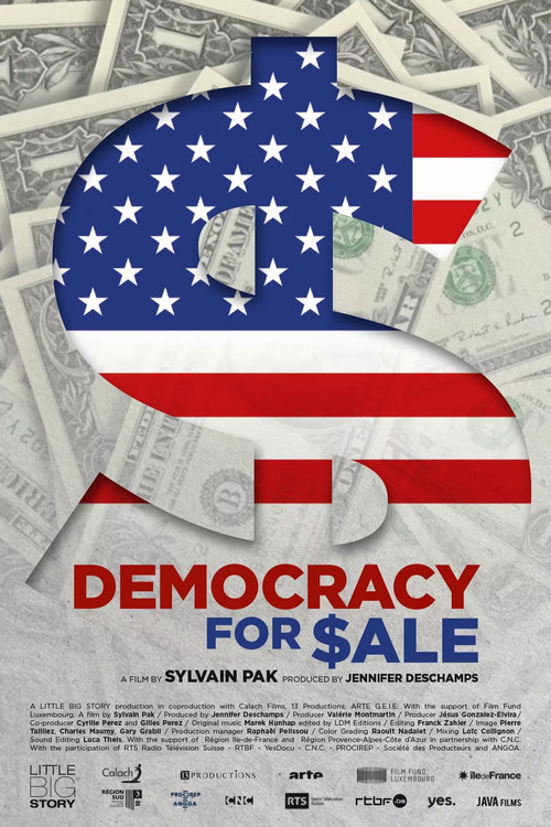 Movie poster for Democracy for $ale (2020)