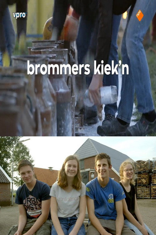 Movie poster for Brommers Kiek'n (2017)