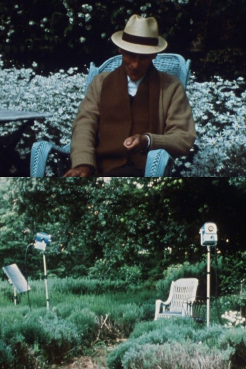 Movie poster for Bram Van Velde (1983)