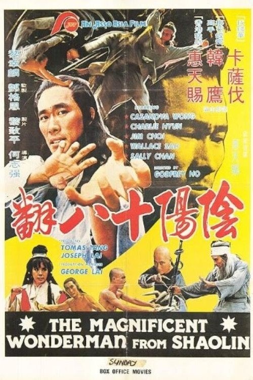 Movie poster for Magnificent Wonderman (1978)