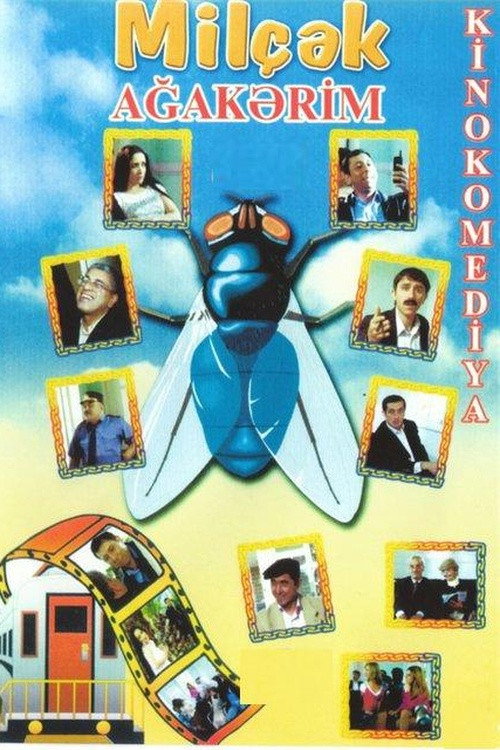 Movie poster for Fly (2006)
