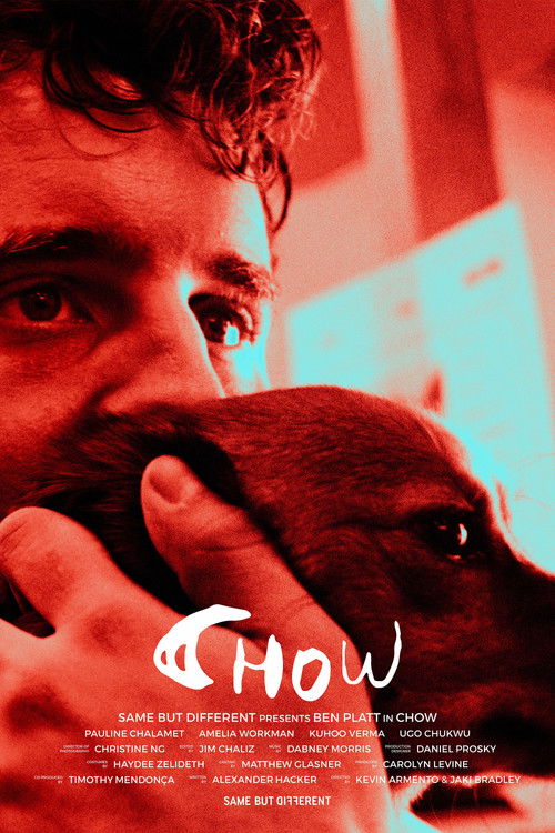 Movie poster for Chow (2024)