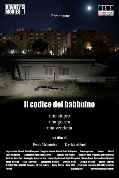 Movie poster for Il codice del babbuino (2017)