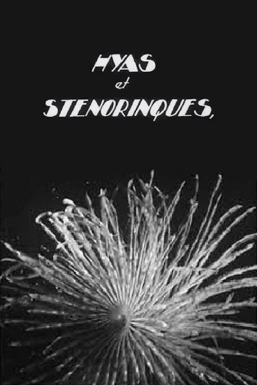 Movie poster for Hyas and Stenorhynchus (1929)