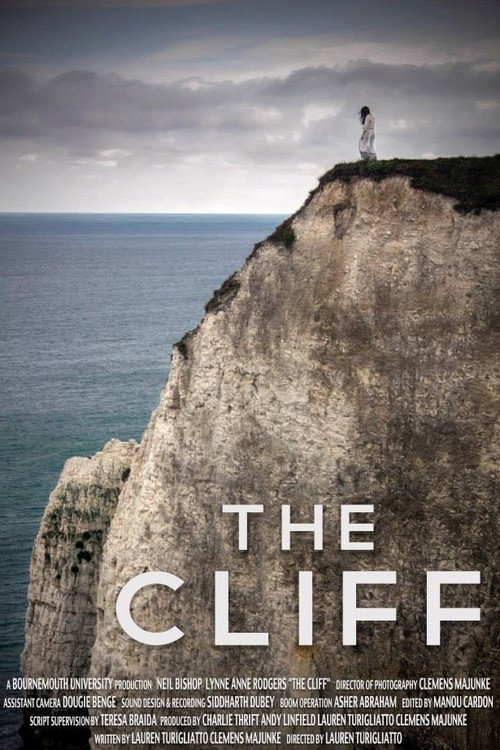Movie poster for The Cliff (2016)