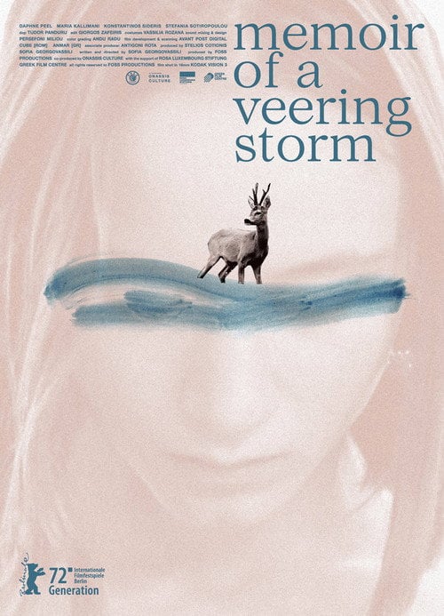 Movie poster for Memoir of a Veering Storm (2022)